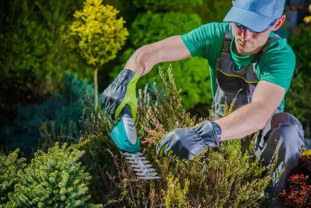 landscaping services Halesite